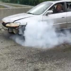 Meet your Posher, Dawson